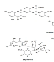 J Microbiota